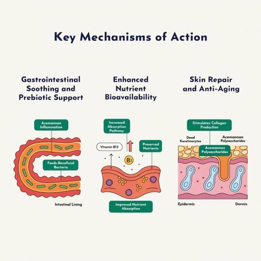 gut health and skin care