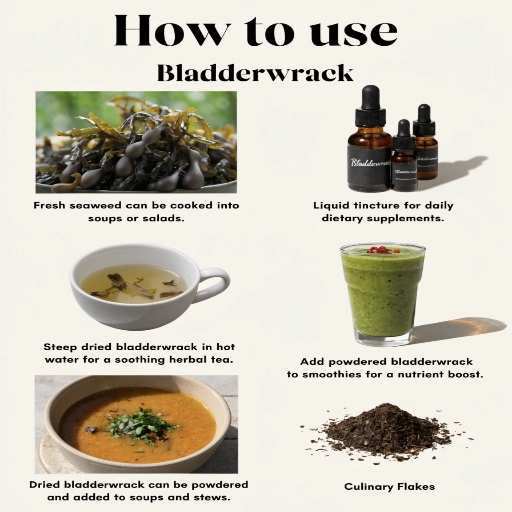Dried Powder, culinary flakes, soup, tea and Tinctures