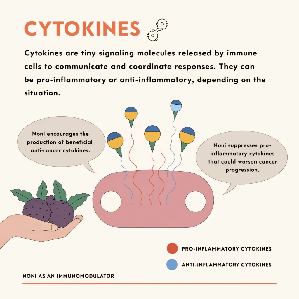 noni cytokines