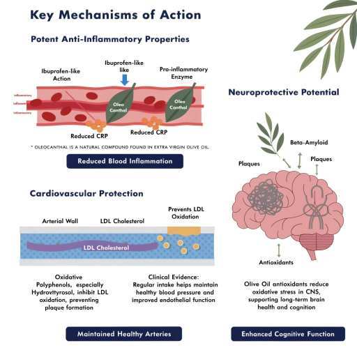 anti-inflammatory, cardiovascular, neo protective