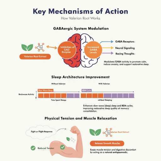 GABA system, Physical Tension and Muscle Relaxation & sleep improvement