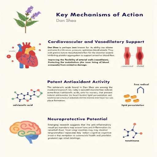 Cardiovascular & Vasodilatory Support, Potent Anti-Oxidant Activity, Neuroprotective Potential