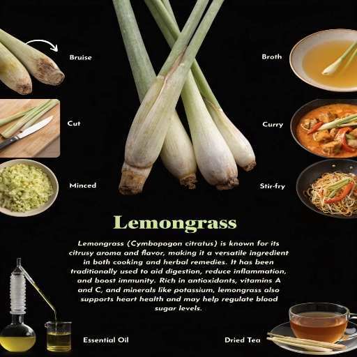 Fresh Inner Stalk, Dried Tea, Standardized Herbal Extract