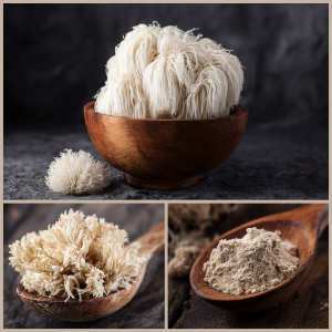 lions mane mshroom