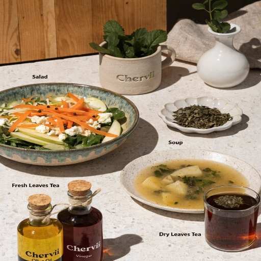 Fresh leaves in salad and spring soups, Dried Herb oils/Vinegars and Infused Oils