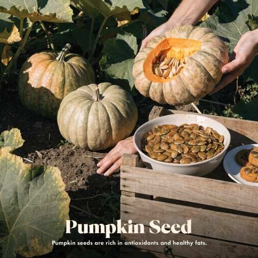 Dried/Raw/ Roasted Seeds, Cold Press Oil, Standardized Extract Capsules 