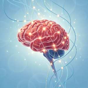 illustration of brain with electrical activity