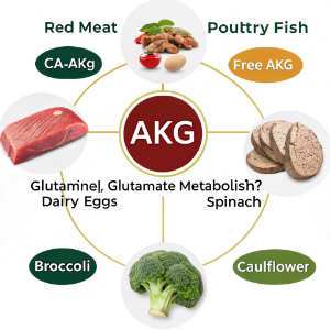 food with AKG