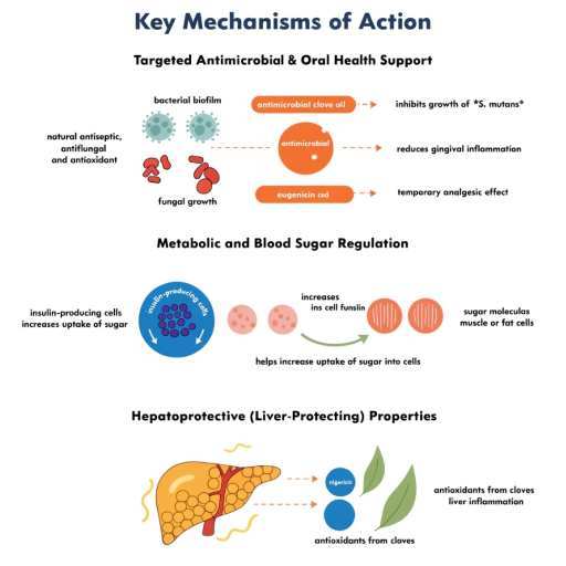 antimicrobial,, oral health, microbial, blood sugar regulation  and liver health