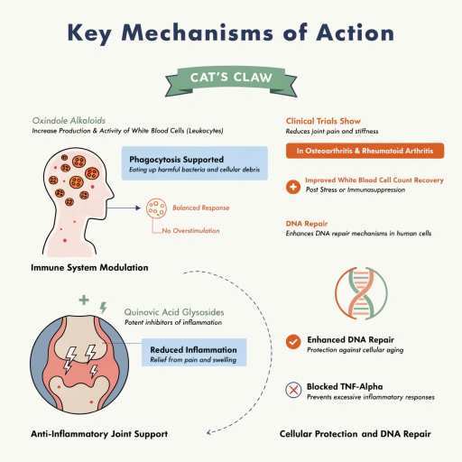 cell growth repair ,dna,, repair  anti-inflammatory and joint health