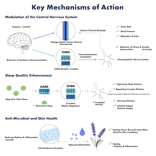anti microbial, skin health, sleep health