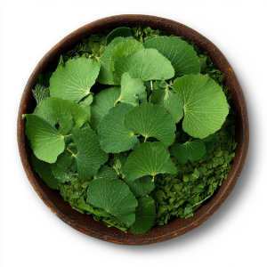 gotu kola leaves fresh and dry in bowl