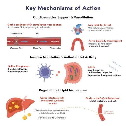 immunity, cardiovascular, lipid and metabolic