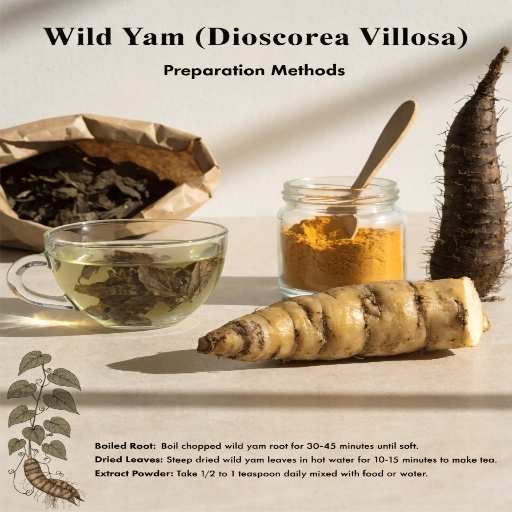 Dried Cut Root (Boiled), Concentrated Extract Powder, Liquid Extracts/Tinctures and Tea