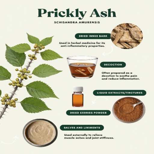 Dried Inner Bark Decoction Chips, Liquid Extracts/Tinctures, Dried Berry Powder, Warming & Topical Salves/Liniments 