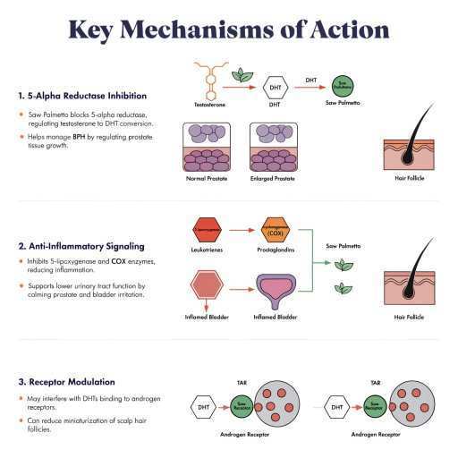 Anti-Inflammatory Signaling Receptor, 5-alpha Reductase Inhibition