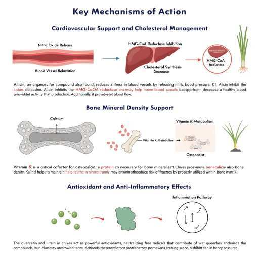 Anti-Inflammatory, Anti-Oxidant, Bone Mineral Density, Cardiovascular & Cholesterol Management