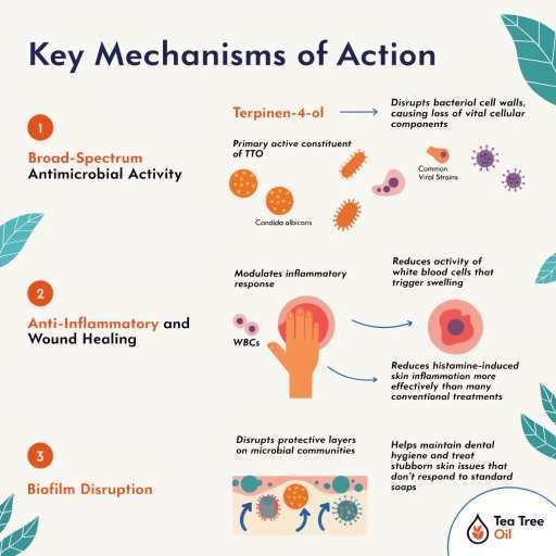 biofilm disruption, anti-microbial, anti-inflammatory, wound healing