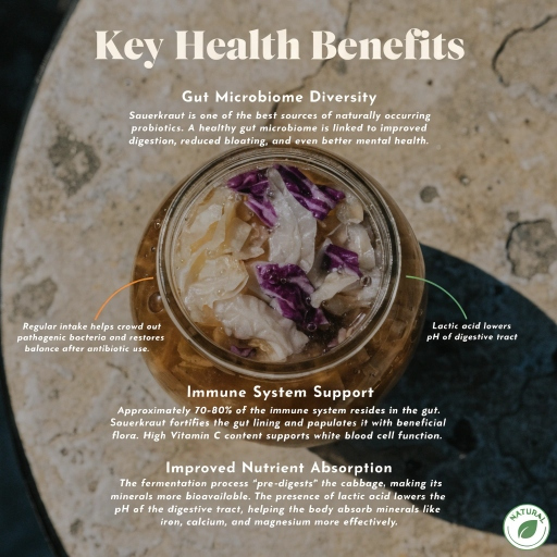 fermented health