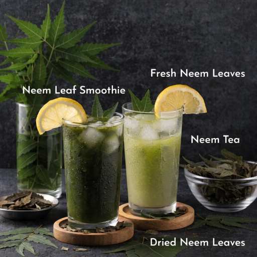 Leaves, powder, oil , smoothies and bark uses