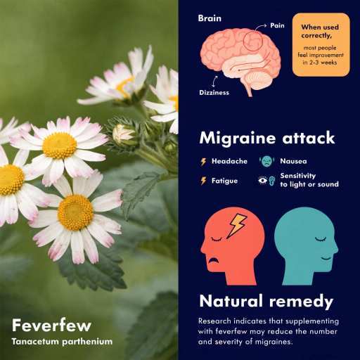 Dried leaves, fresh leaves, capsules & tincures