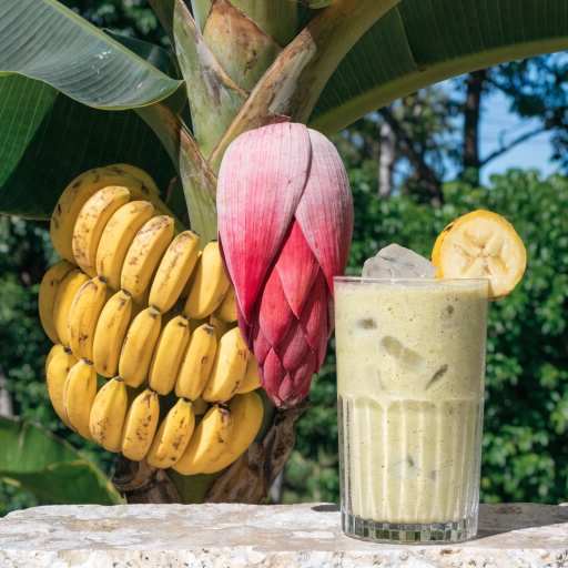 Bananas: Ripe fruit, unrip fruit, flower, peel & smoothie