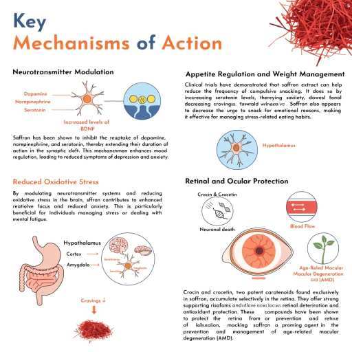 Nuerotranmitter (Brain Health), Appetite Control and Reinal and Ocular Protection