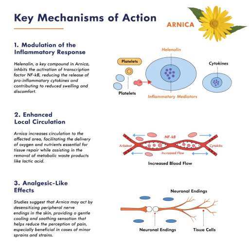 Inflammatory, skin and circulatory oral health, cell protection