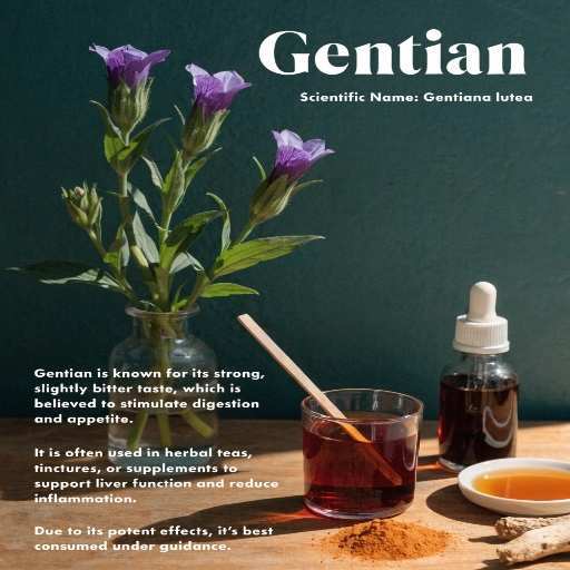 Dried Root Tea, Tinctures, Standardized Extracts, Aperitifs and Digestifs