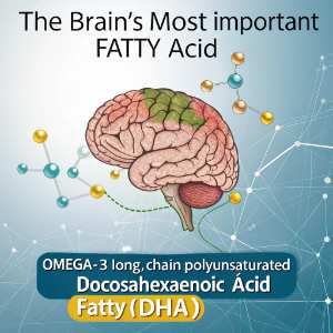 brains fatty acid
