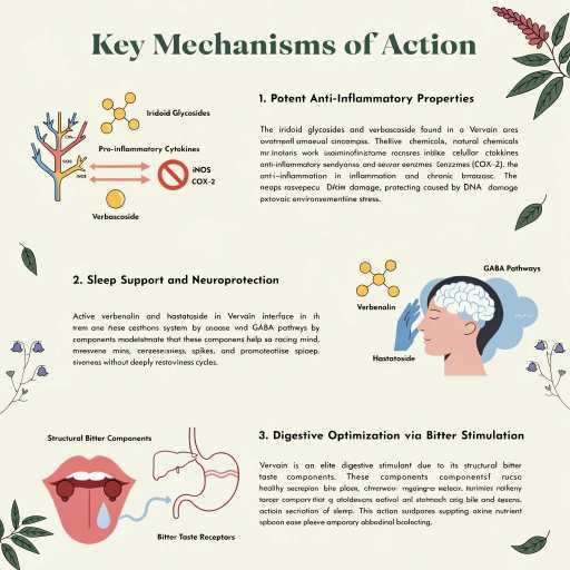 Potent Anti-Inflammation Properties, Sleep Support  & Neuroprotection, Digestive Optimization via Bitter Stimulation