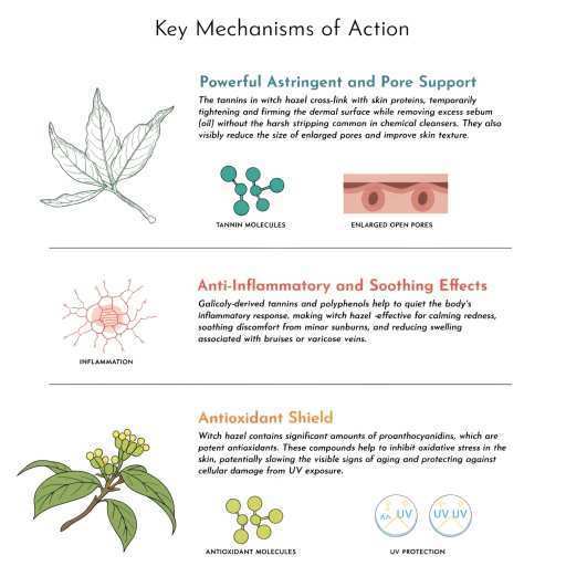 Powerful Astringent & Pore Support, Anti-inflammatory Soothing Effect and Antioxidant Shield