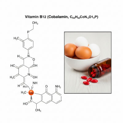 Vitamin B12 molecule with meat and dairy