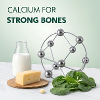 Calcium atom with dairy and fortified foods
