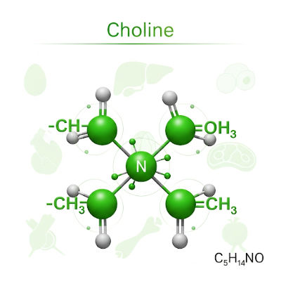 Choline is a quaternary ammonium compound, not a mineral but a nutrient critical for liver and brain health. Its structure includes a trimethylammonium group and a hydroxyethyl backbone.