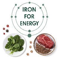 Iron atom with meat and spinach