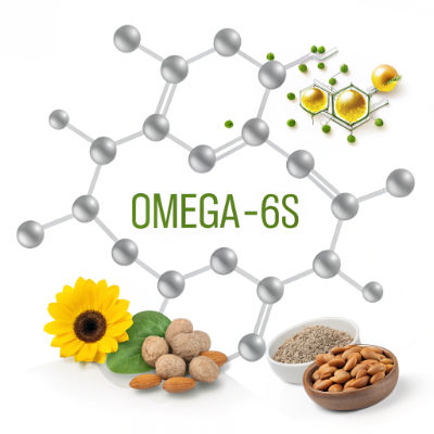 Omega-6 fatty acid structure with corn oil and sunflower seeds