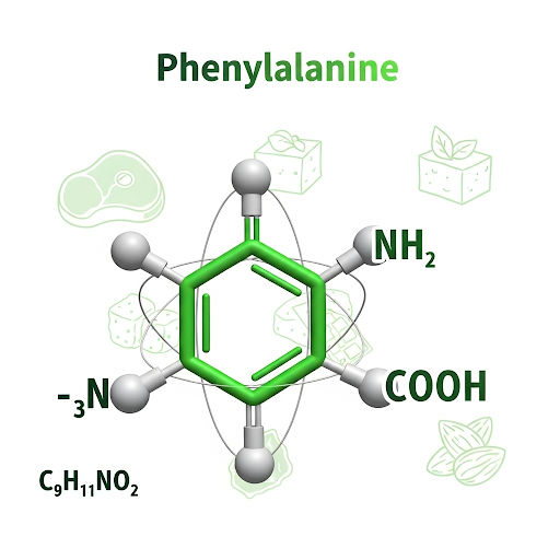 Phenylalanine An aromatic amino acid with a benzyl side chain, necessary for neurotransmitter and protein synthesis.