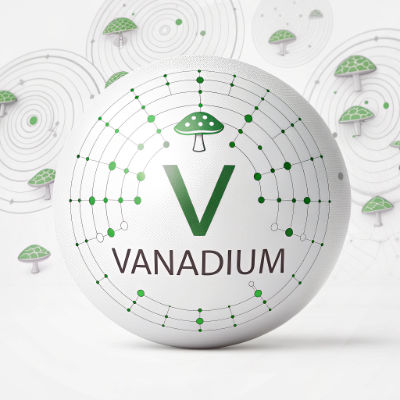Vanadium is a trace mineral with a simple atomic structure, potentially involved in glucose metabolism.
