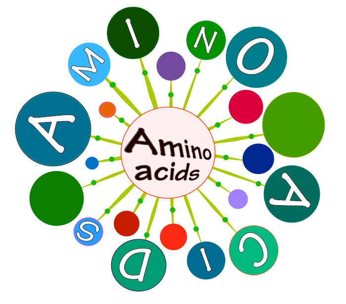 aminoacids.png